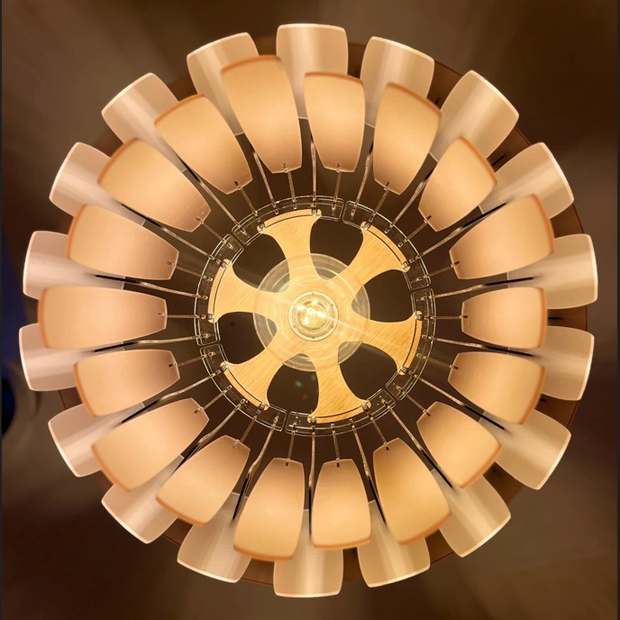 BROL Raymonde vue du dessous.webp