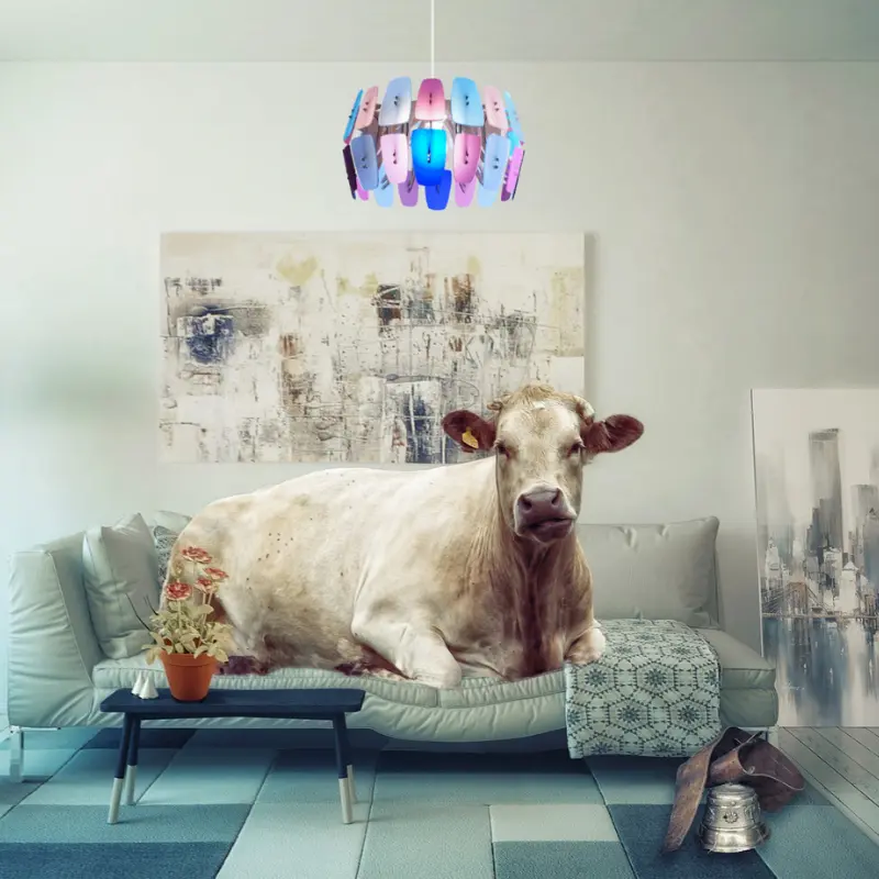 BAZAR 40 (blanc, Enlèvement à l'atelier)